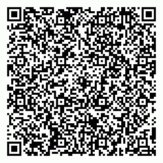 vCard 79295017299