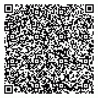 vCard 79295017331