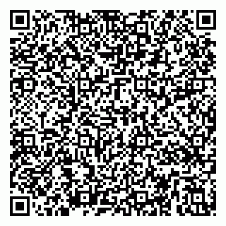 vCard 79295017334
