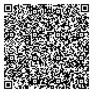 vCard 79295017335
