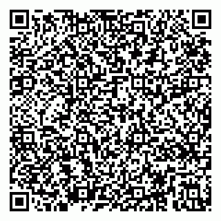 vCard 79295017341