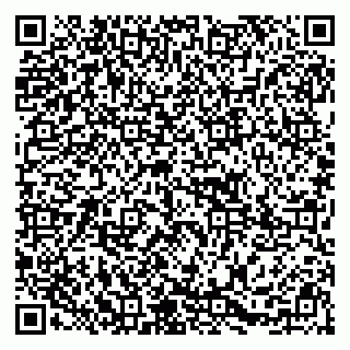 vCard 79295017348
