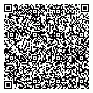 vCard 79295017352