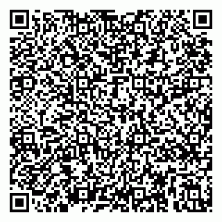 vCard 79295017355