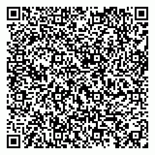 vCard 79295017367