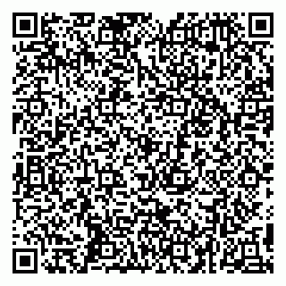 vCard 79295017378