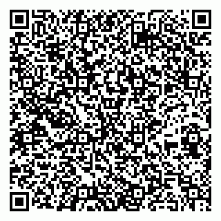 vCard 79295017403