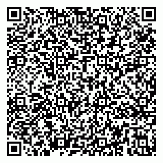 vCard 79295017463