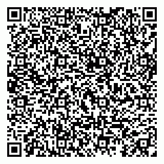vCard 79295017709