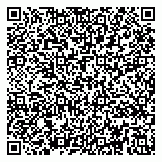 vCard 79295017804
