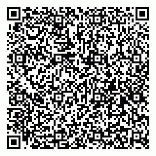 vCard 79295018174