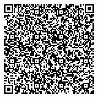 vCard 79295018239