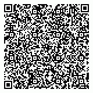 vCard 79295018317