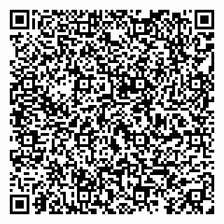 vCard 79295018331