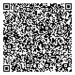 vCard 79295018345