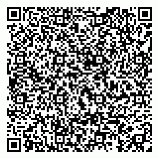 vCard 79295018745