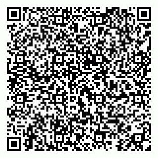 vCard 79295019207
