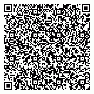 vCard 79295019264