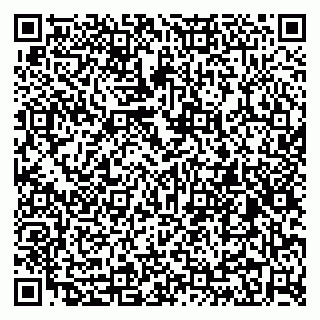 vCard 79295019303