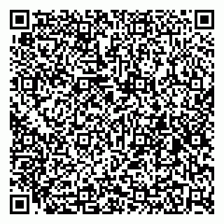 vCard 79295019331