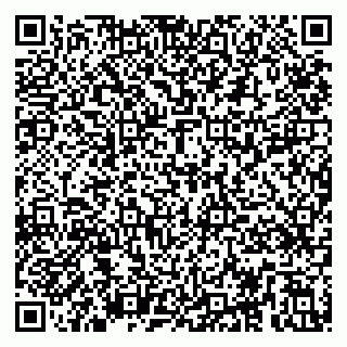 vCard 79295019347