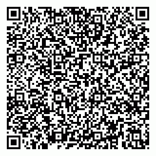 vCard 79295019385