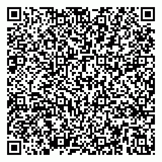 vCard 79295019474