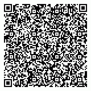 vCard 79295019481