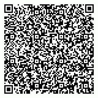 vCard 79295019508