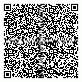 vCard 79295019529