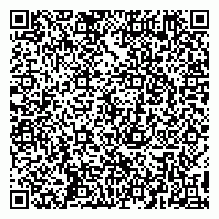 vCard 79295020002