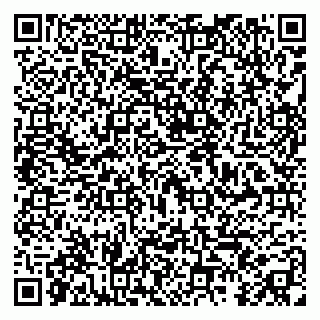 vCard 79295020004