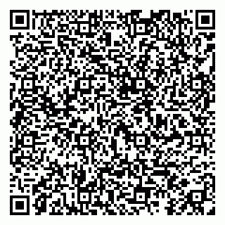 vCard 79295020005