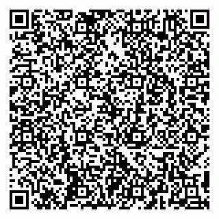 vCard 79295020006