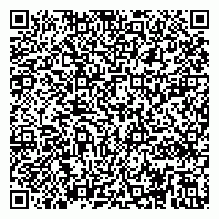 vCard 79295020007