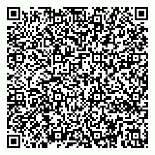 vCard 79295020008
