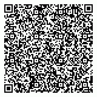 vCard 79295020009