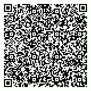 vCard 79295020060