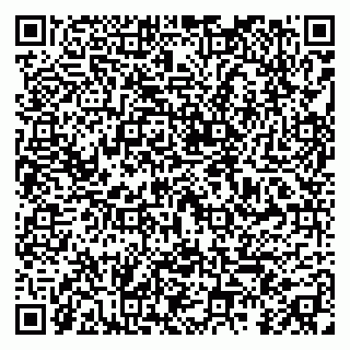 vCard 79295020101