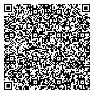 vCard 79295020103