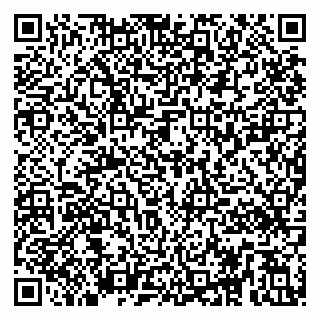 vCard 79295020106