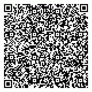 vCard 79295020135
