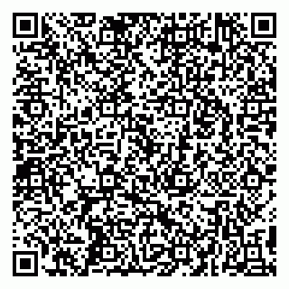 vCard 79295020153