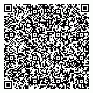 vCard 79295020175