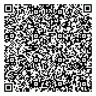 vCard 79295020177