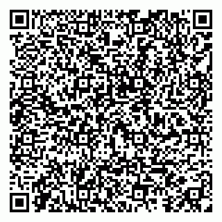 vCard 79295020185