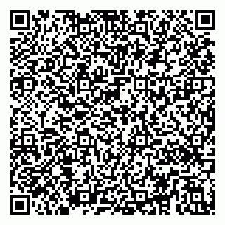 vCard 79295020187