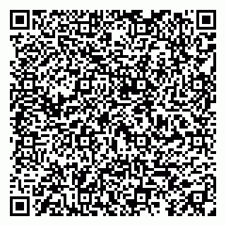 vCard 79295020239