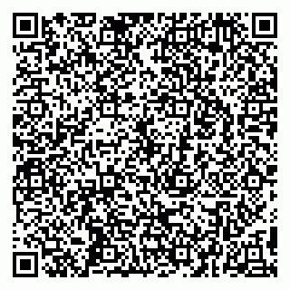 vCard 79295020249