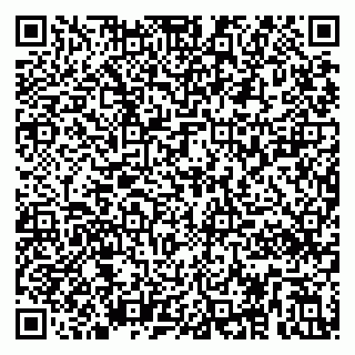 vCard 79295020294